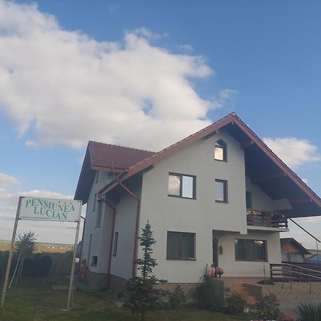 Pensiunea Lucian Baltati Exterior foto