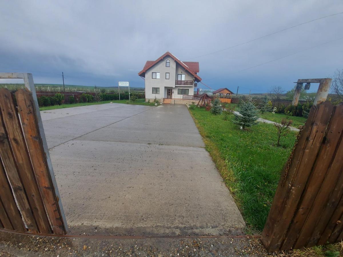 Pensiunea Lucian Baltati Exterior foto