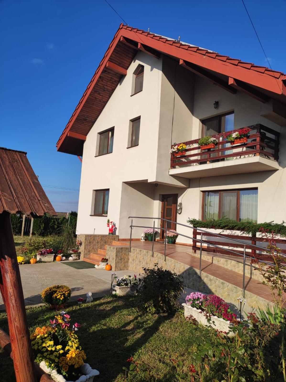 Pensiunea Lucian Baltati Exterior foto