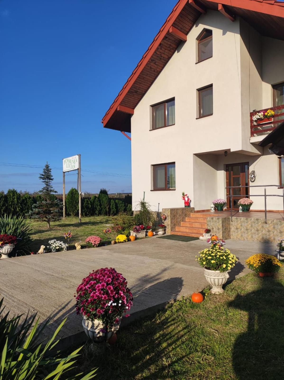 Pensiunea Lucian Baltati Exterior foto