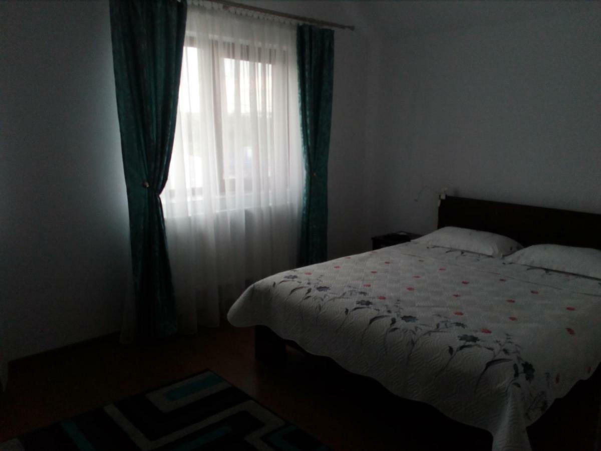 Pensiunea Lucian Baltati Exterior foto