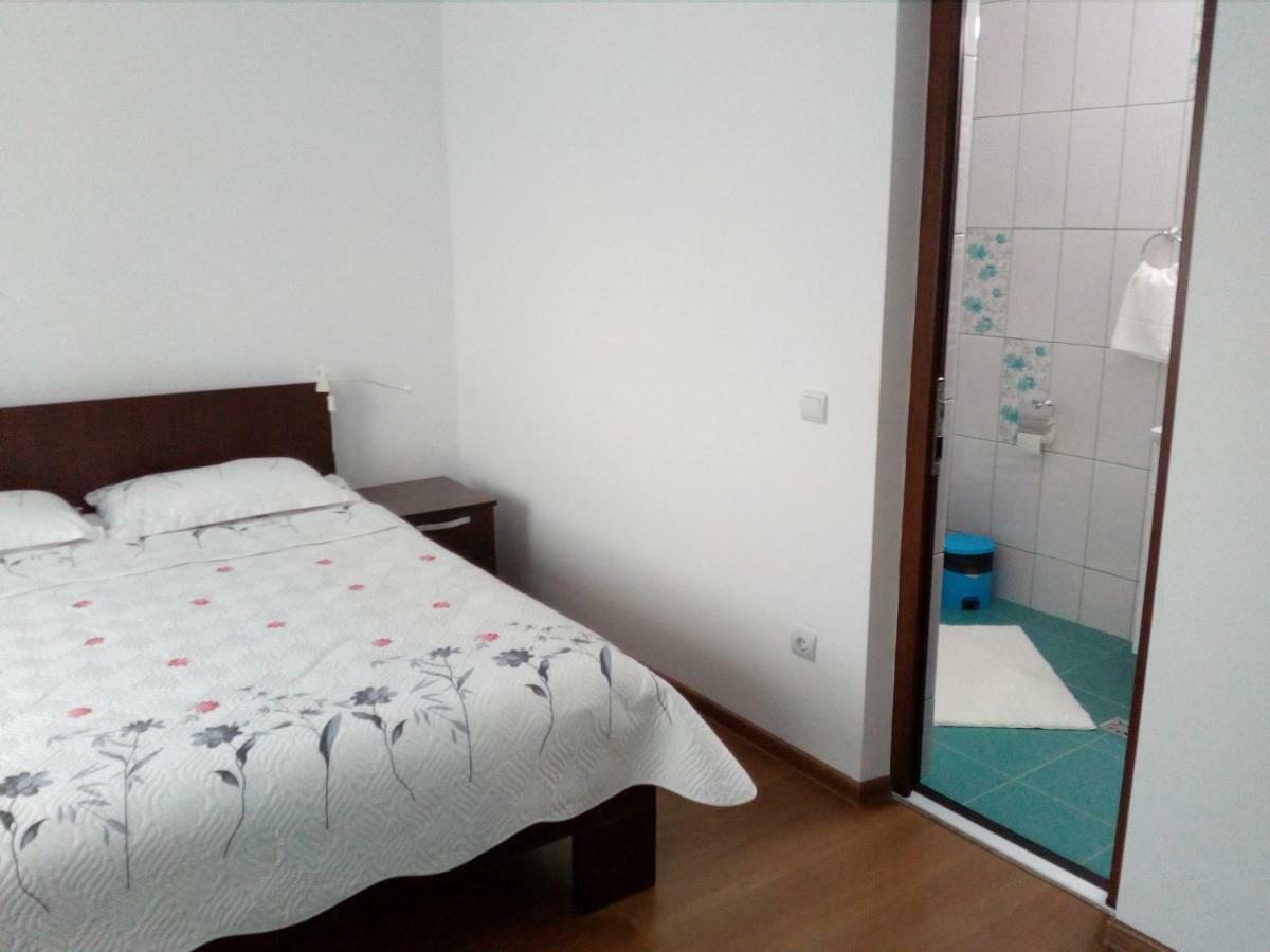 Pensiunea Lucian Baltati Exterior foto